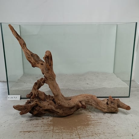 ITEM | 流木専門店のアクアリバー/アクアリウム/グリーンインテリア