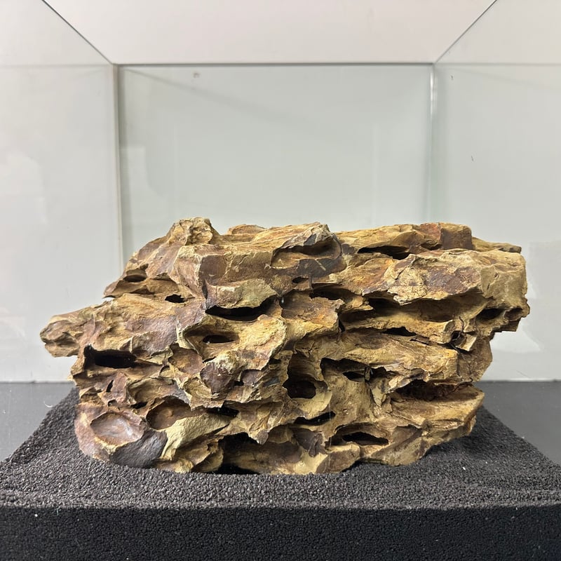 BIG気孔石 1点もの No.5563（W約27cm)(60cm水槽） | 流木専門店の