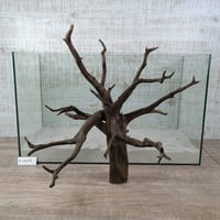 ネシア流木 ブラックタイプ　3Lサイズ　1点ものNo.1859【W約43cm】