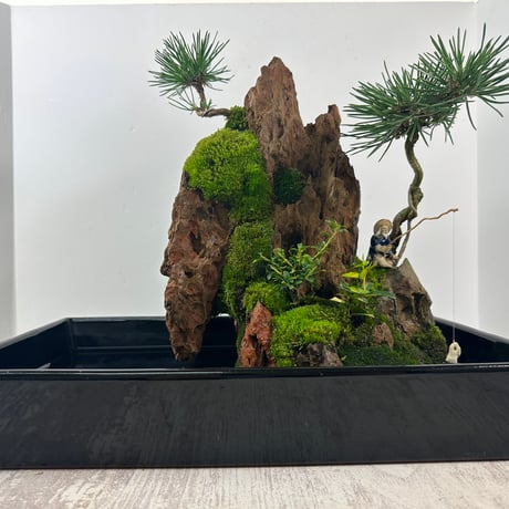 気孔石山（美型） 一点物の水槽オブジェ No. 4950  (45cm水槽)(W約23cm/H約29cm)