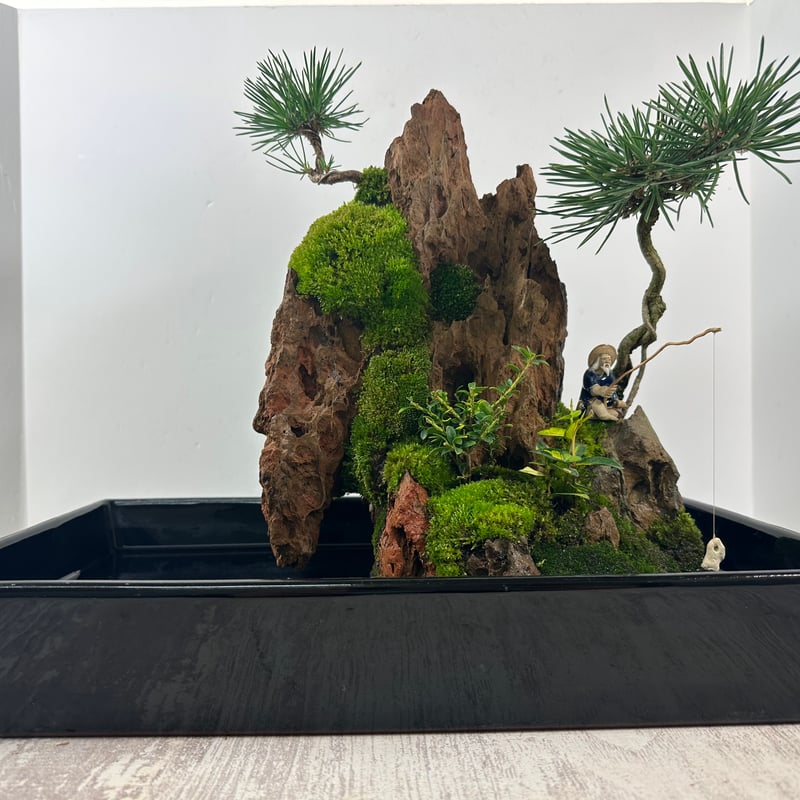 気孔石山(美型) 一点物の水槽オブジェ No. 5068 (45cm水槽)(W 気孔石山(美型) 一点物の水槽オブジェ No. 5068 (45cm水槽)(W