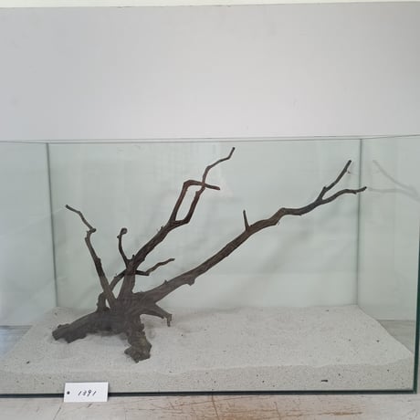 CATEGORY 流木（全種類） | 流木専門店のアクアリバー