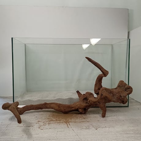 流木専門店のアクアリバー/アクアリウム/グリーンインテリア