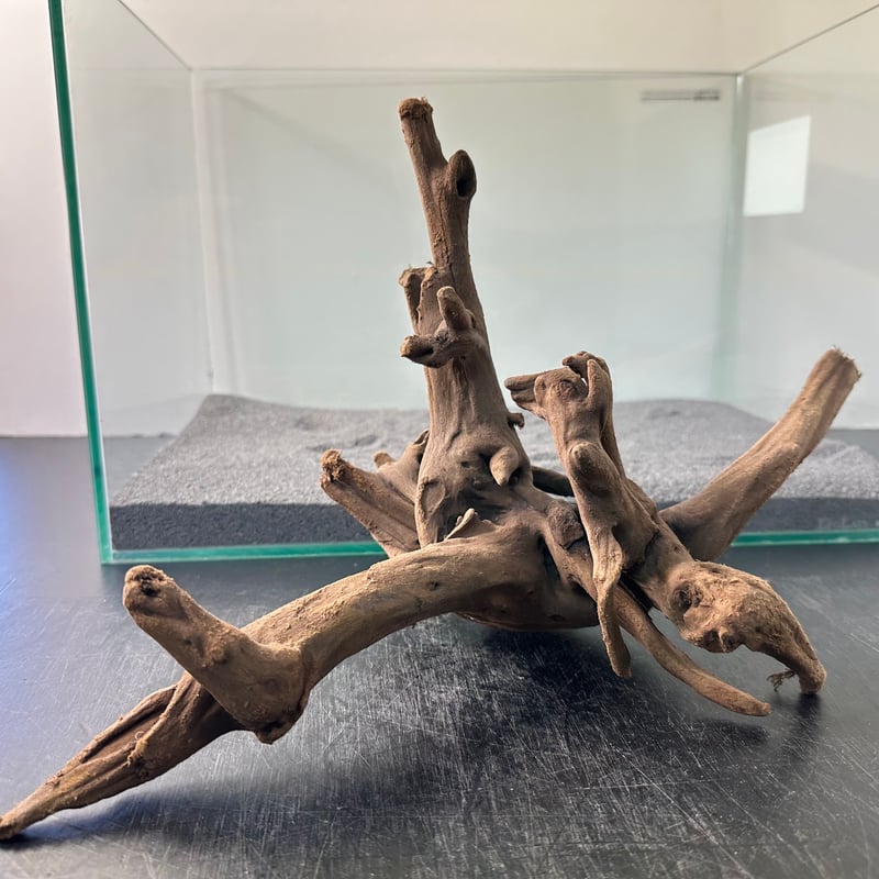 流木 A410 良型大型レイアウト