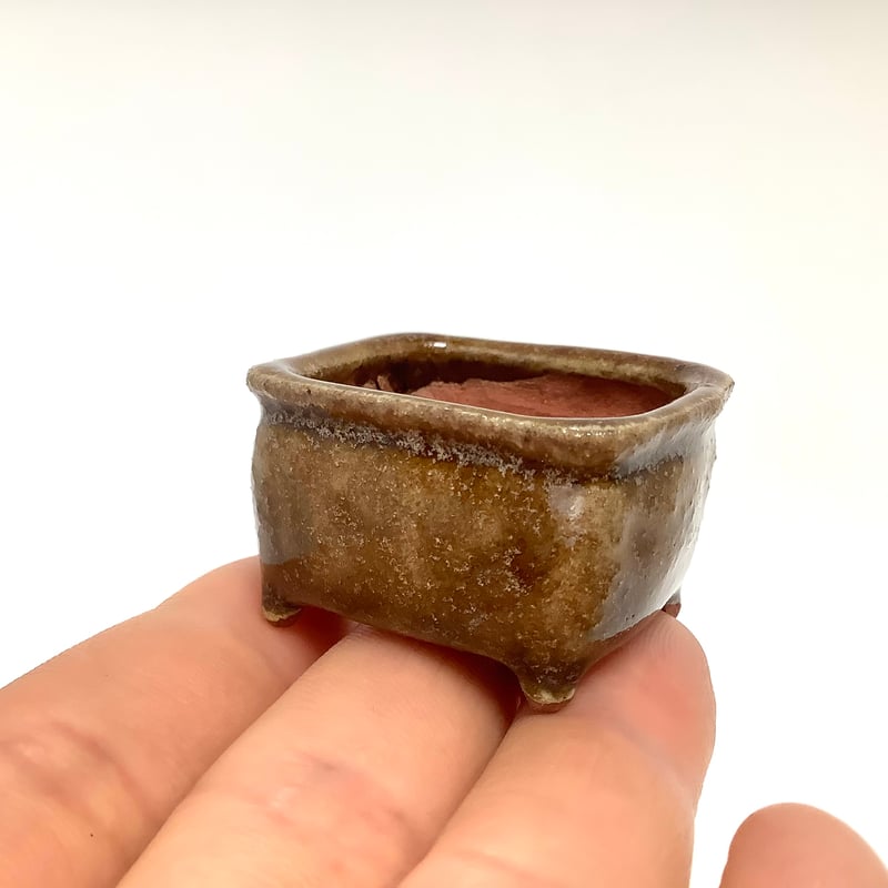 ミニ盆栽鉢 玉木啓子造 No.50 飴釉長方鉢 | 流木専門店のアクアリバー