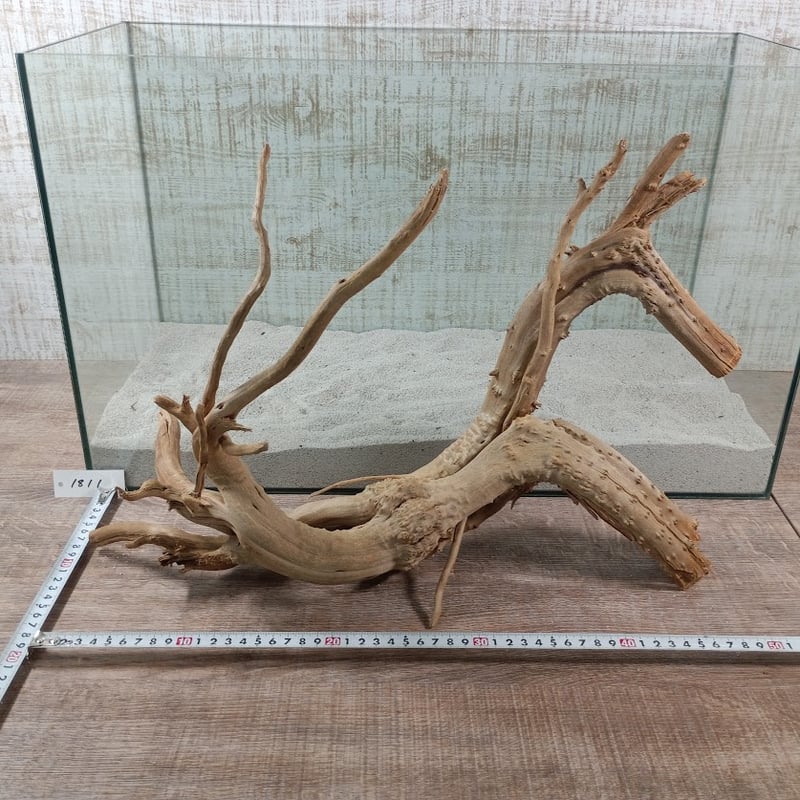 流木アート（ベンチ③） 福岡県 N 様のオリジナル大型流木ベンチのご利用状況 - 流木アートの
