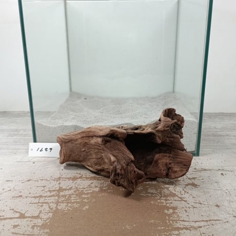 CATEGORY Sサイズ | 流木専門店のアクアリバー/アクアリウム/グリーン