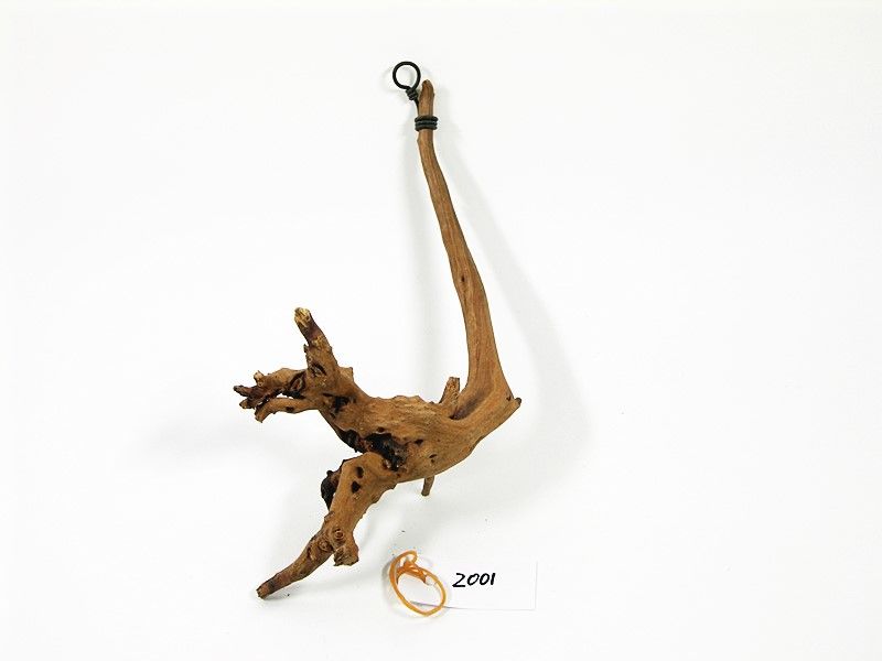 受注品：流木 エアプランツ用流木 吊り下げ型 No.2001 | 流木専門店のアクア