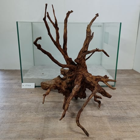 ネシア流木 ブラウンタイプ　3Lサイズ　1点ものNo.1766【W約49cm】