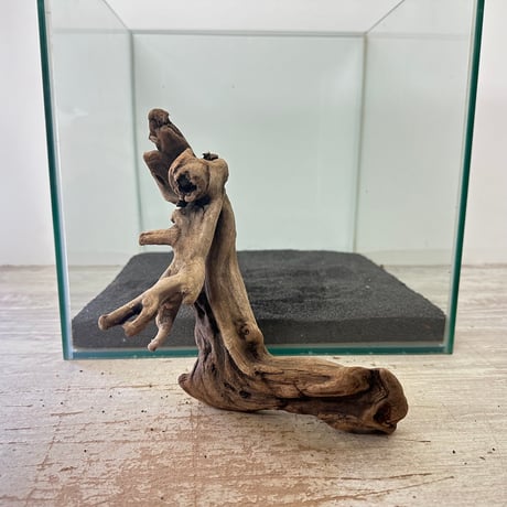 大型　流木【2129】 大型 流木【2129】 一点物 上質流木 禅 大型水槽用 880040