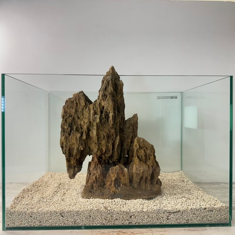 気孔石山（美型） 一点物の水槽オブジェ No. 4946  (45cm水槽)(W約26cm/H約32cm)