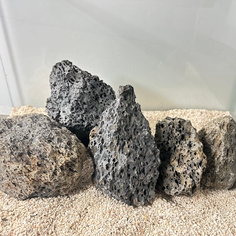 火山岩石MIX(在庫限定）（約10cm〜15cm前後) 5個セット No.5046 | 流木