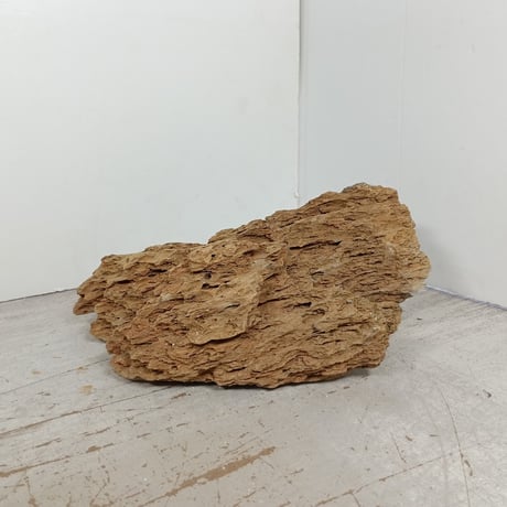 BIG気孔石　１点もの　No.1657（W約27cm)(30cm水槽）