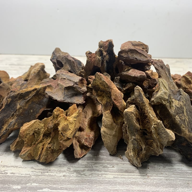 気孔石 10-15cm 15kg ks-10-15-15k 気孔石SS 10㎏セット（kgあたり530円） | 流木専門店のアクアリバー