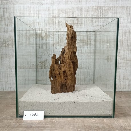 希少山型流木   Mサイズ　オンリーワン ★現物撮影  1点　No.1796(W約27㎝）  ★★オブジェ、インテリアにも★★