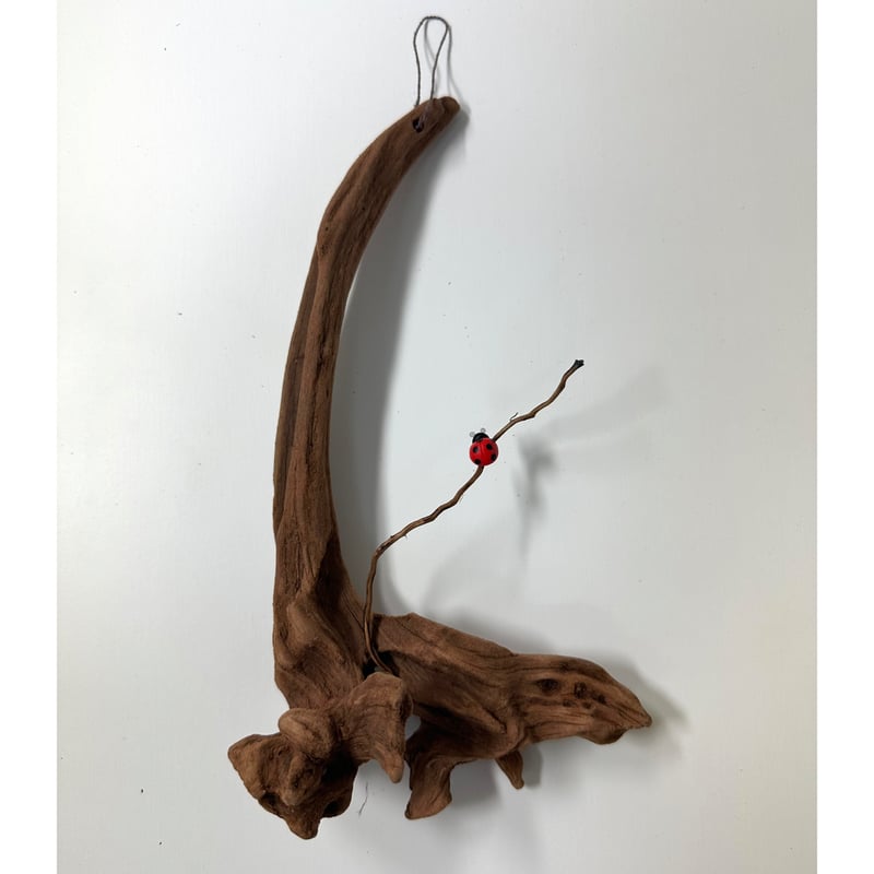 流木、ア一ト。 激レア流木 流木シリーズ - 株式会社ソネケミファ