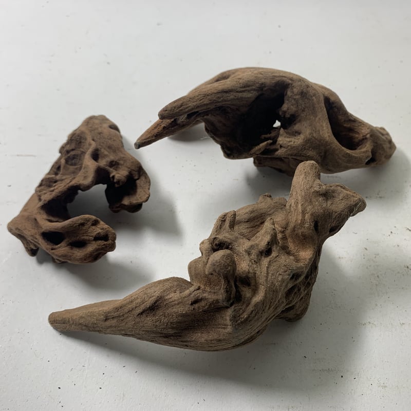 マングローブ系流木 プチサイズ 約10～15㎝ 10本入×1セット（合計10本