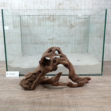 マングローブ系流木.     Mサイズ(W約26cm)・オンリーワン ★現物撮影  1点　No.1831（45cm水槽)