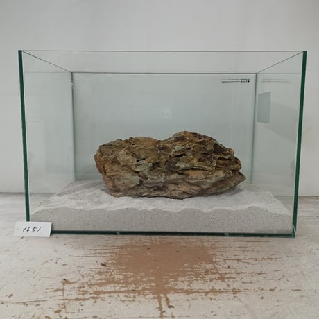 BIG気孔石塊　１点もの　No.1651（W約33cm)(45cm水槽）