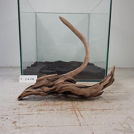 流木 インテリア レイアウト 60cm DIY テラリウム 天然 rybk13