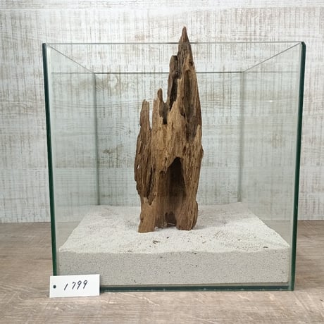 希少山型流木   Mサイズ　オンリーワン ★現物撮影  1点　No.1799(W約30㎝）  ★★オブジェ、インテリアにも★★