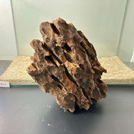BIG気孔石塊　１点もの　No.5011（W約31cm/H約25cm)(60cm水槽）