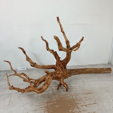 CATEGORY 流木（全種類） | 流木専門店のアクアリバー/アクアリウム