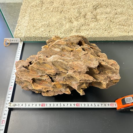 BIG気孔石塊　１点もの　No.5011（W約31cm/H約25cm)(60cm水槽）