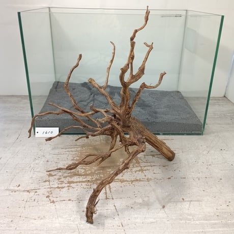 ITEM | 流木専門店のアクアリバー/アクアリウム/グリーンインテリア