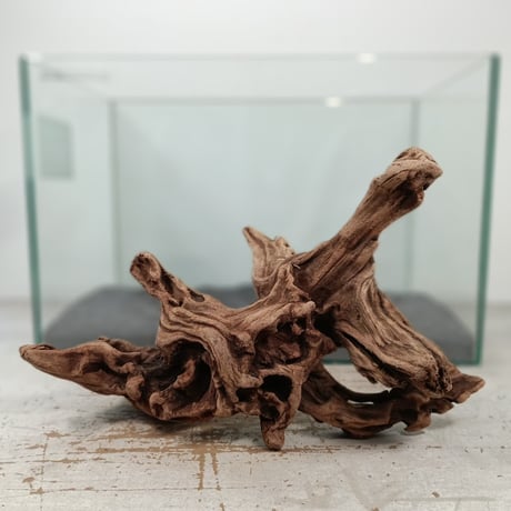 流木専門店のアクアリバー/アクアリウム/グリーンインテリア