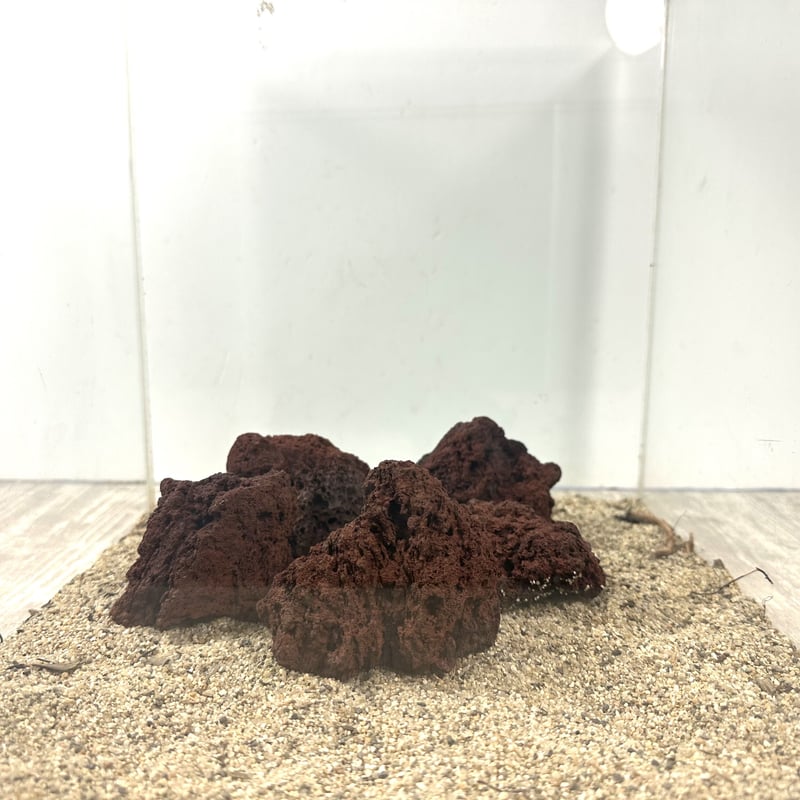 レッド溶岩石Ｓサイズ(約5cm〜10cm) ５個セット | アクアリウム流木