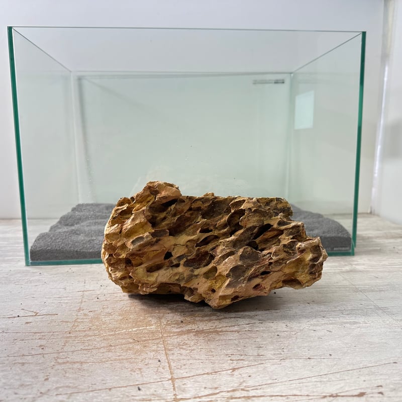 BIG気孔石塊 1点もの No.6097（W約23cm)(45cm水槽） | 流木専門店の