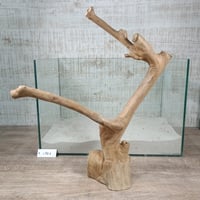 コーヒーブランチ　ダブル　NO.1903　(W約42㎝） 爬虫類のケージなどに