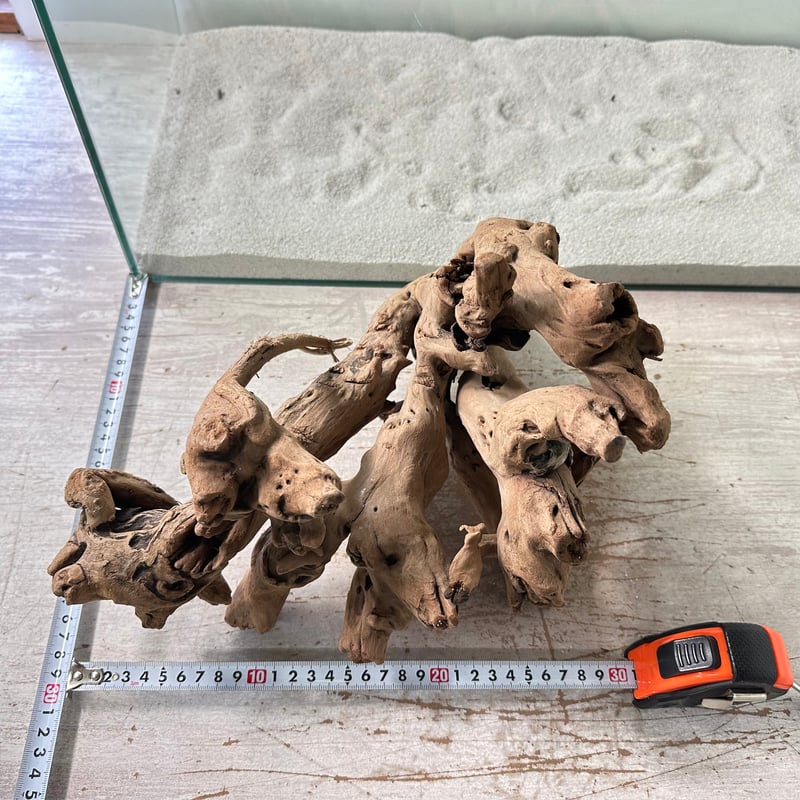 希少マングローブ系流木 BIG(W約30cm/30cm)・オンリーワン ☆現物撮影