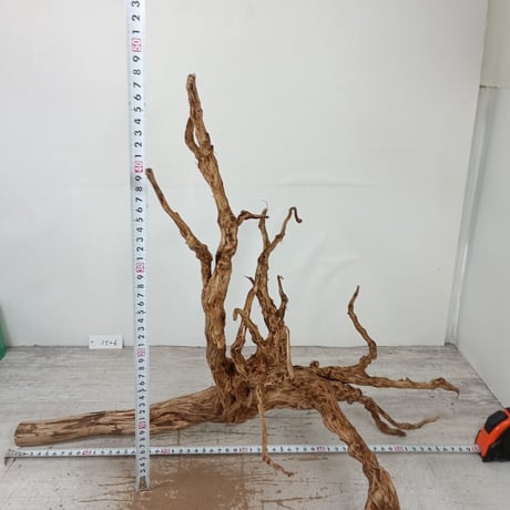 特選BIGネシア流木 ブラウンタイプ　3Lサイズ　1点ものNo.1526【W約 57cm】大型水槽、インテリアにも