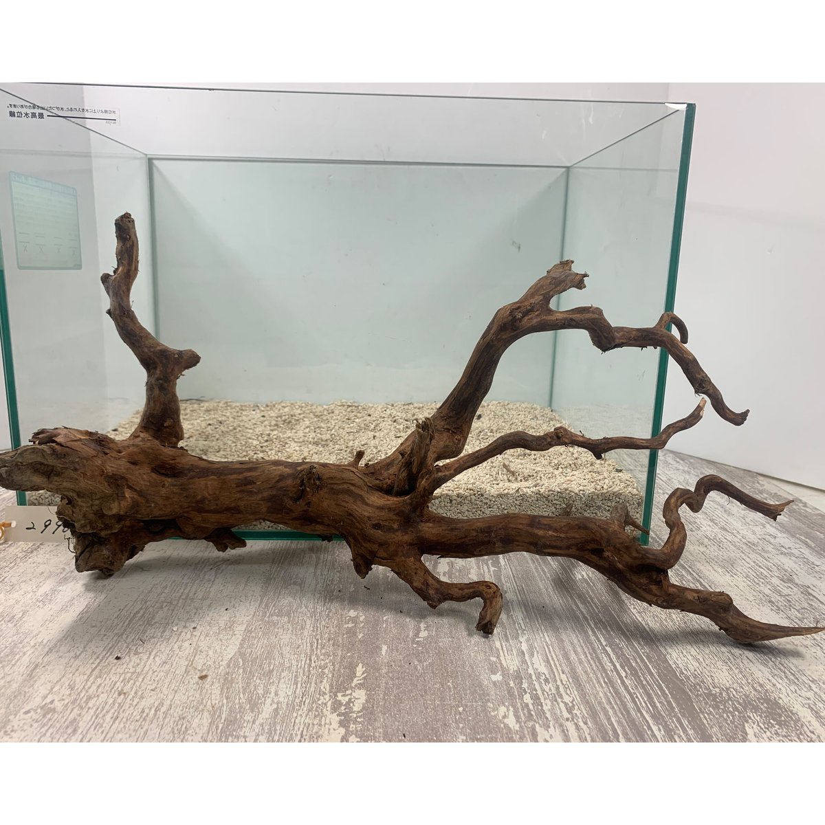 アクアリウムOF水槽セット No.881