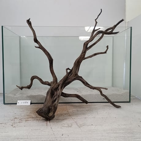 流木　約52㎝ 楽天市場】GEX 天然流木 ミニサイズ（約10〜25cm） 1