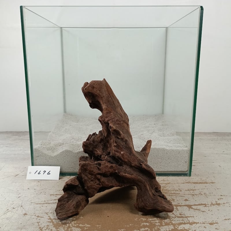 美マングローブ系流木 MSサイズ オンリーワン ☆現物撮影 1点 No.1676