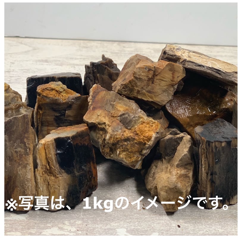 ミニ木化石 10kg セット（kgあたり520円） | 流木専門店のアクアリバー