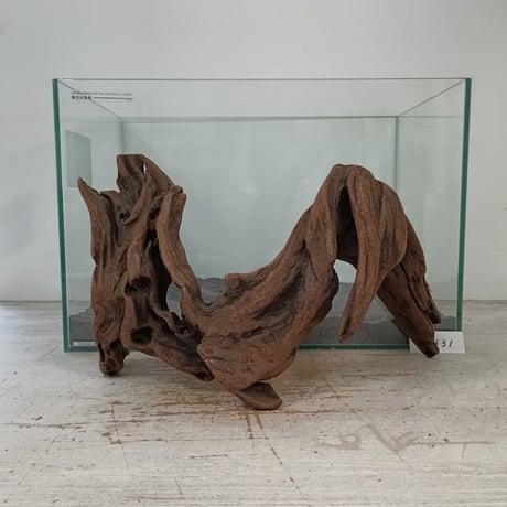 CATEGORY 2L | 流木専門店のアクアリバー/アクアリウム/グリーンインテリア