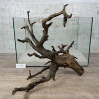 ネシア流木 ブラックタイプ　2Lサイズ　1点ものNo.1790【W約40cm】