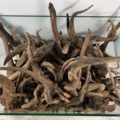 お買い得・マングローブ系アウトレット流木量り売り（スティック中心）（１×５KG 合計５KG）(45cm水槽）