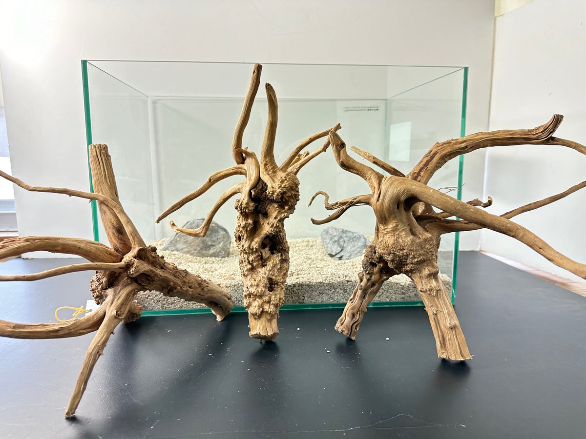 【LBC001】レイアウトブランチウッド 3本セット タイ産天然流木 ブランチウッド：石・流木 ～神畑養魚株式会社～