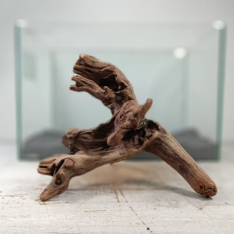 流木専門店のアクアリバー/アクアリウム/グリーンインテリア