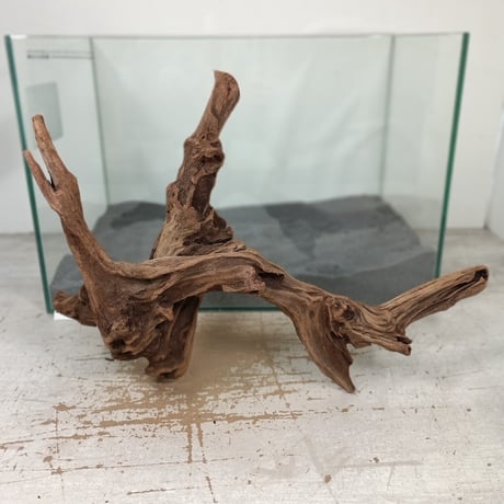 CATEGORY 2L | 流木専門店のアクアリバー/アクアリウム/グリーンインテリア