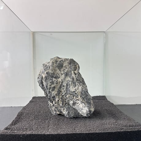 BIGドラゴンストーン　１点もの　No.5555（W約18cm) (30cm水槽)