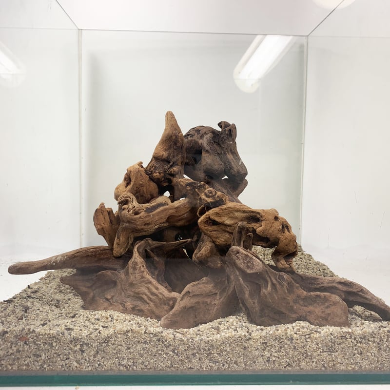 マングローブ系流木プチサイズ 約10～15㎝ 10本入×3セット（合計30本）