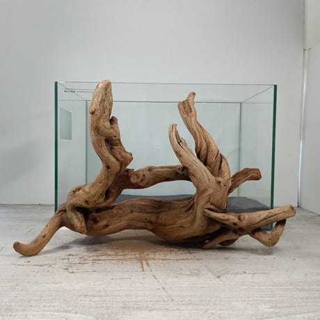 CATEGORY 2L | 流木専門店のアクアリバー/アクアリウム/グリーンインテリア