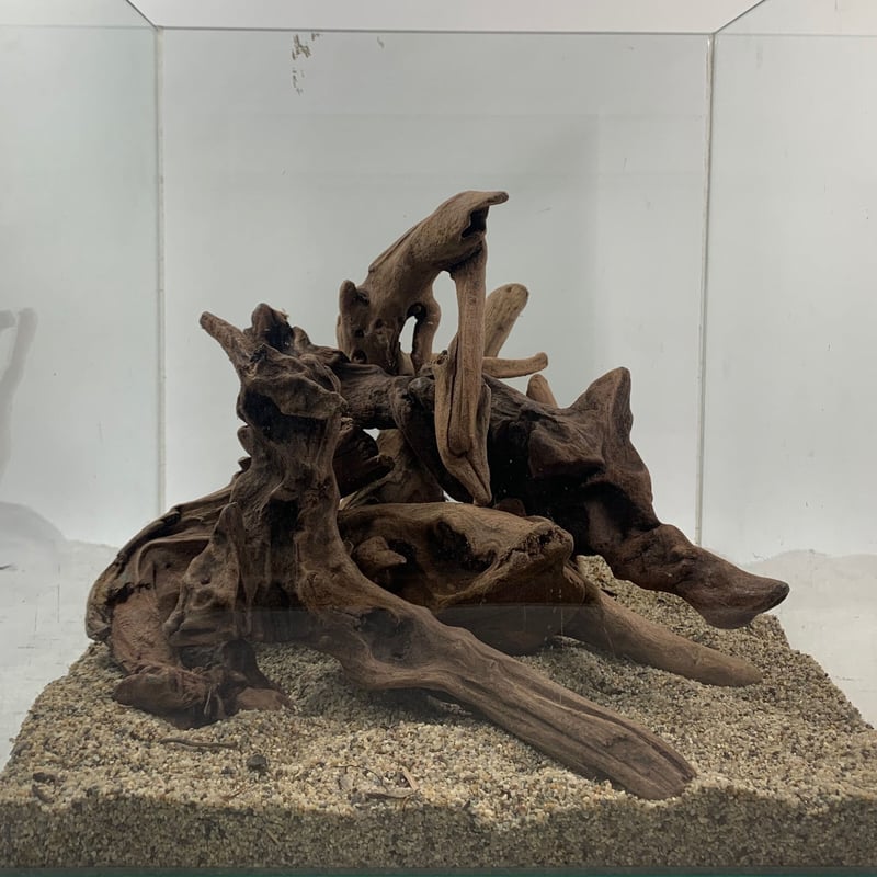 MRW-6106 マングローブ系天然流木　レイアウトセット　流木　アクアリウム マングローブ系流木 Sサイズ15cm〜25cm おまかせ5本×2セット