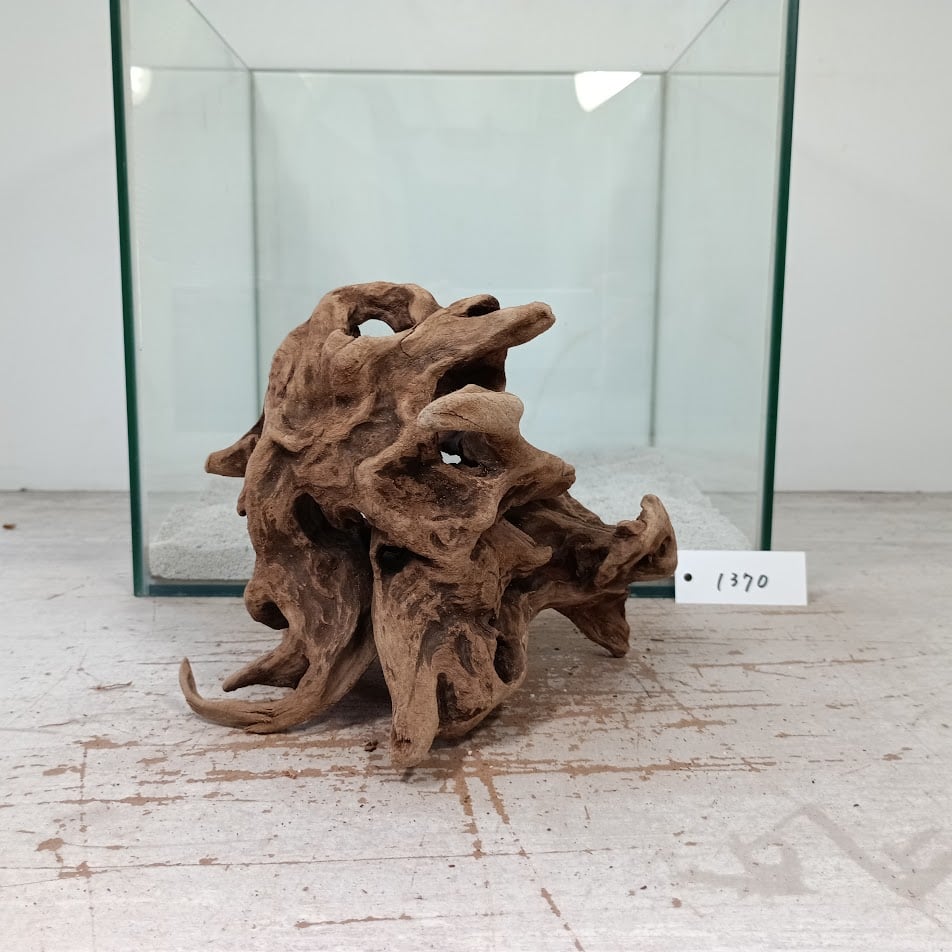 【オンリーワン品】山羊夫婦の流木マングローブレイアウト オンリーワン品】山羊夫婦の流木マングローブレイアウト